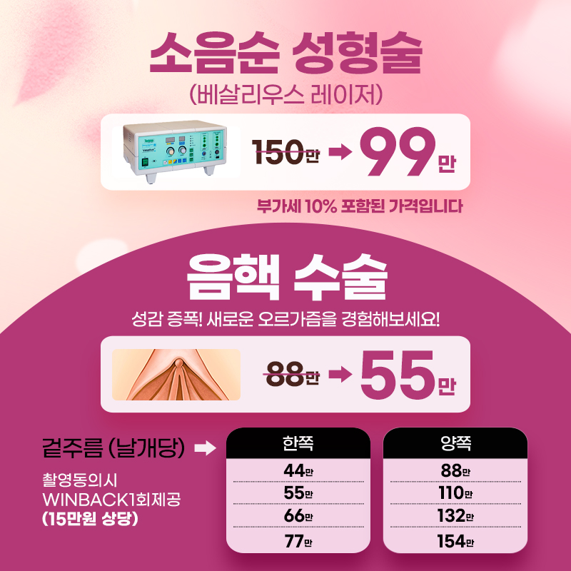 소음순 성형 베살리우스레이저